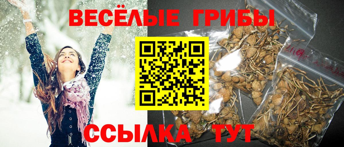 Галлюциногенные грибы GOLDEN TEACHER Благодарный